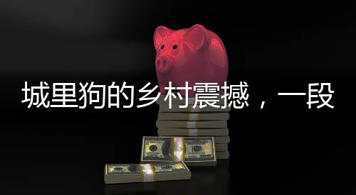 城里狗的鄉(xiāng)村震撼，一段走進(jìn)自然的全新體驗(yàn)之旅