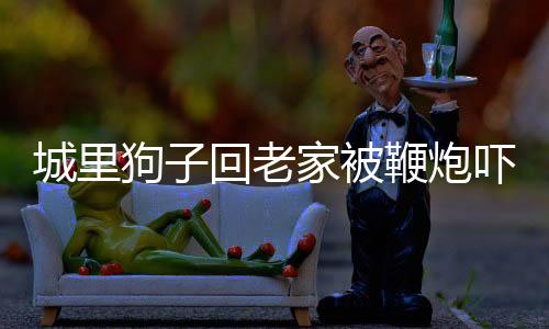 城里狗子回老家被鞭炮嚇得要開(kāi)車走