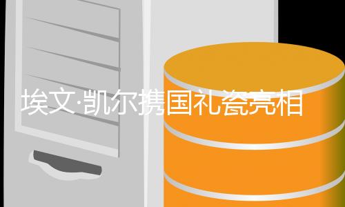 埃文·凱爾攜國(guó)禮瓷亮相春晚，展現(xiàn)中華文化魅力