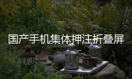 國產(chǎn)手機集體押注折疊屏，路走對了嗎？