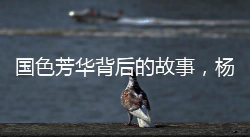 國(guó)色芳華背后的故事，楊紫嘴角的小紅點(diǎn)之謎