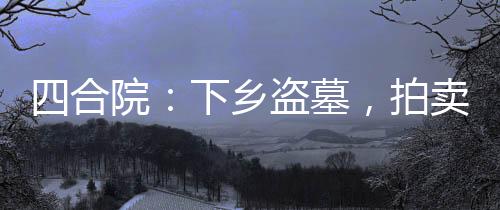 四合院：下鄉(xiāng)盜墓，拍賣諸天萬界