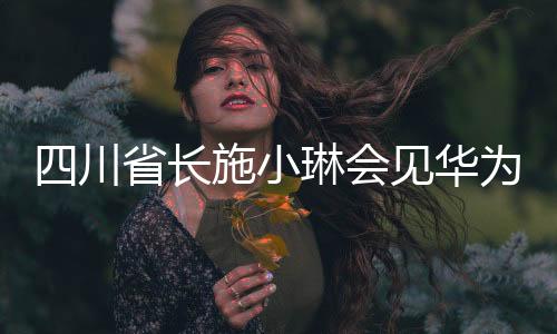 四川省長(zhǎng)施小琳會(huì)見(jiàn)華為公司高管孟晚舟