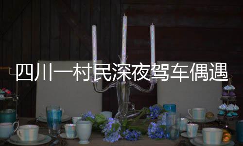 四川一村民深夜駕車偶遇大熊貓，引發(fā)關注熱潮