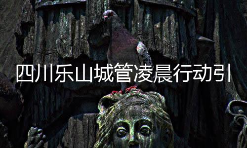 四川樂山城管凌晨行動(dòng)引爭議，疑撬門運(yùn)走攪拌機(jī)事件調(diào)查