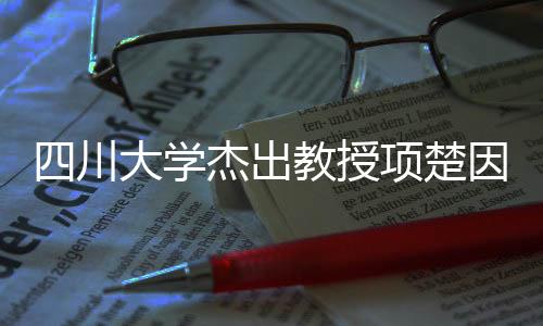 四川大學(xué)杰出教授項楚因病去世，緬懷一位卓越的教育家與學(xué)者
