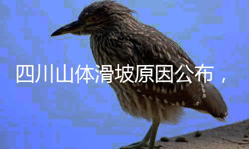 四川山體滑坡原因公布，初查顯示已有29人失聯(lián)
