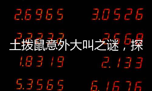 土撥鼠意外大叫之謎，探究背后的原因與應(yīng)對之策