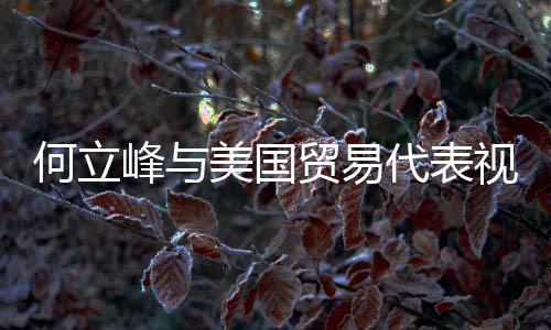 何立峰與美國貿(mào)易代表視頻通話，探討雙邊經(jīng)貿(mào)合作與發(fā)展前景