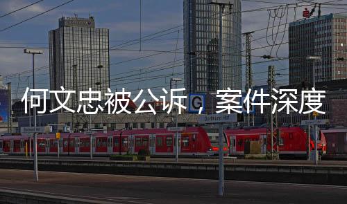 何文忠被公訴，案件深度解析與多方關(guān)注
