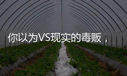 你以為VS現(xiàn)實(shí)的毒販，揭開毒品交易的神秘面紗