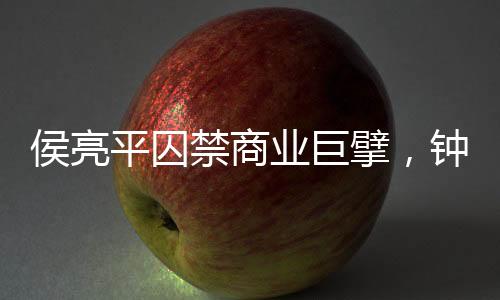 侯亮平囚禁商業(yè)巨擘，鐘正國慌了