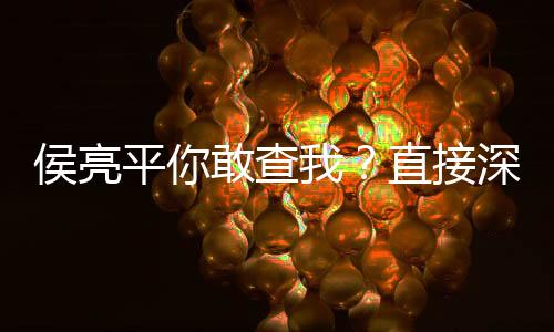 侯亮平你敢查我？直接深入鐘小艾