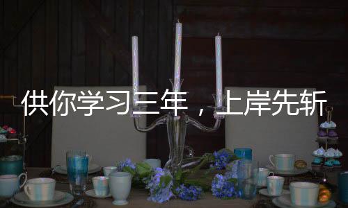 供你學(xué)習(xí)三年，上岸先斬意中人？