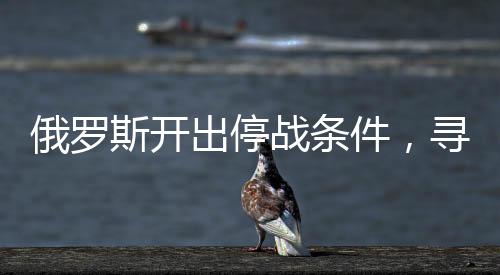 俄羅斯開出停戰(zhàn)條件，尋求和平解決沖突的契機