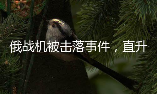 俄戰(zhàn)機(jī)被擊落事件，直升機(jī)絕地救援飛行員
