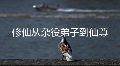 修仙從雜役弟子到仙尊
