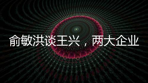 俞敏洪談王興，兩大企業(yè)家間的洞察與碰撞