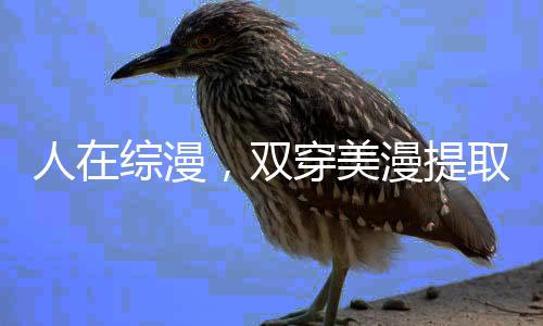 人在綜漫，雙穿美漫提取超人詞條