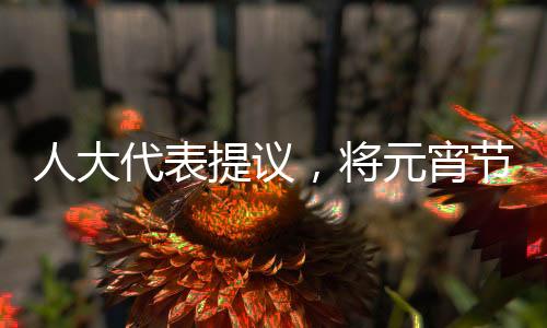 人大代表提議，將元宵節(jié)設(shè)為法定節(jié)假日