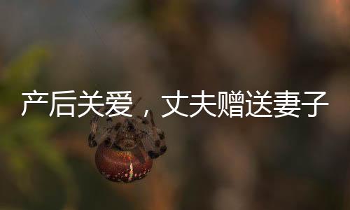產(chǎn)后關(guān)愛(ài)，丈夫贈(zèng)送妻子十萬(wàn)元塔，傳遞溫情與關(guān)懷