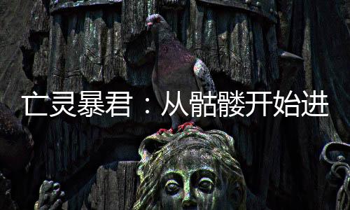 亡靈暴君：從骷髏開(kāi)始進(jìn)化