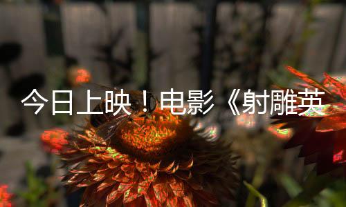 今日上映！電影《射雕英雄傳：俠之大者》曝特別對談 徐克肖戰(zhàn)暢敘武俠