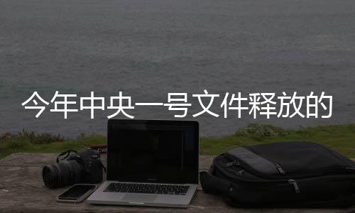 今年中央一號(hào)文件釋放的新信號(hào)，聚焦鄉(xiāng)村振興與農(nóng)業(yè)農(nóng)村現(xiàn)代化