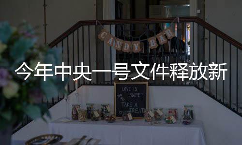 今年中央一號文件釋放新信號，重塑農(nóng)業(yè)農(nóng)村發(fā)展的多元策略