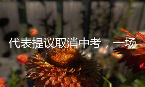 代表提議取消中考，一場關于教育改革的深度探討