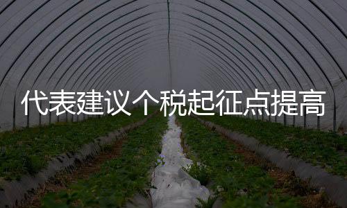 代表建議個稅起征點提高至10萬元，重塑稅收體系以推動社會公平與發(fā)展