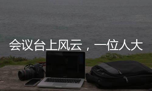 會(huì)議臺(tái)上風(fēng)云，一位人大代表發(fā)言被三次打斷的幕后故事