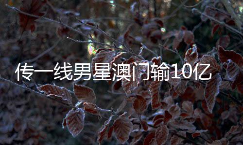 傳一線男星澳門輸10億，微博CEO回應(yīng)，真實情況究竟如何？