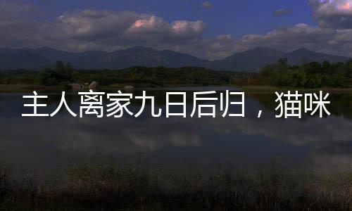 主人離家九日后歸，貓咪疏忽水淹廁所，產(chǎn)生高額水費(fèi)令人驚訝