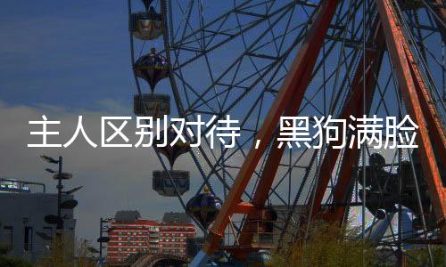 主人區(qū)別對待，黑狗滿臉委屈