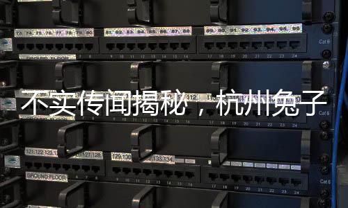不實(shí)傳聞揭秘，杭州兔子警官崗位安然無(wú)恙