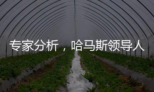 專家分析，哈馬斯領(lǐng)導(dǎo)人面臨死亡接力賽