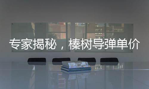 專家揭秘，榛樹導(dǎo)彈單價(jià)驚人，遠(yuǎn)超5000萬美元