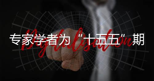 專家學者為“十五五”期間地方發(fā)展獻策 尋找突破路徑