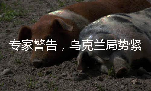 專家警告，烏克蘭局勢(shì)緊張，和平前景堪憂