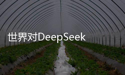 世界對DeepSeek的驚嘆之聲不斷回蕩