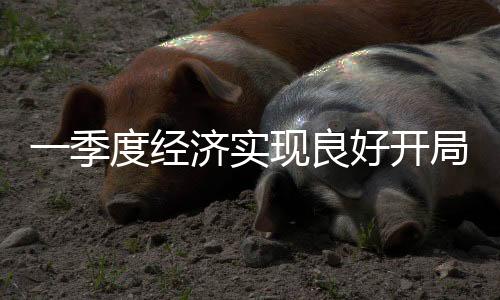 一季度經(jīng)濟實現(xiàn)良好開局 多領(lǐng)域銷售收入穩(wěn)步提升