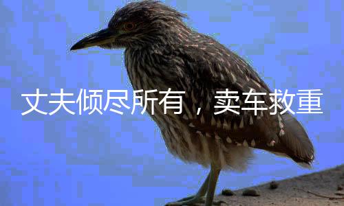 丈夫傾盡所有，賣車救重病妻子，愛情的力量與生命的堅(jiān)守