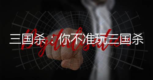 三國殺：你不準(zhǔn)玩三國殺！