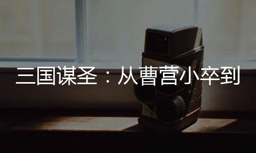 三國謀圣：從曹營小卒到天下謀主