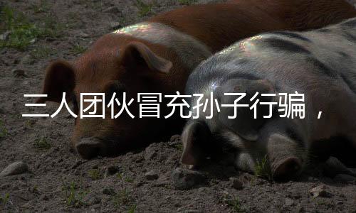 三人團伙冒充孫子行騙，四天內(nèi)詐騙五十萬元案震驚社會