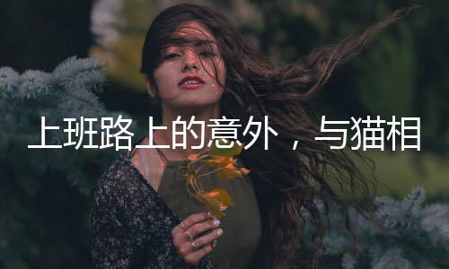 上班路上的意外，與貓相撞導(dǎo)致骨折