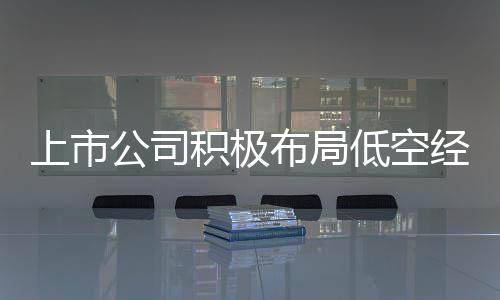 上市公司積極布局低空經(jīng)濟(jì)，拓展發(fā)展視野，共創(chuàng)經(jīng)濟(jì)增長(zhǎng)新篇章