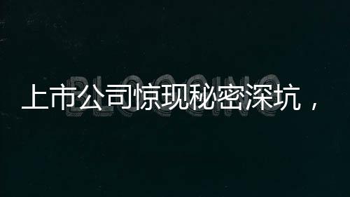 上市公司驚現(xiàn)秘密深坑，揭秘會計資料被埋背后的故事