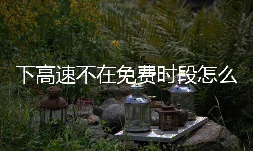 下高速不在免費(fèi)時(shí)段怎么辦？交警支招
